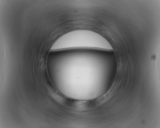 X0000096940136200802080907