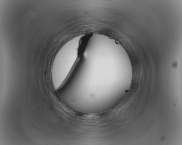 X0000096940137200802080907