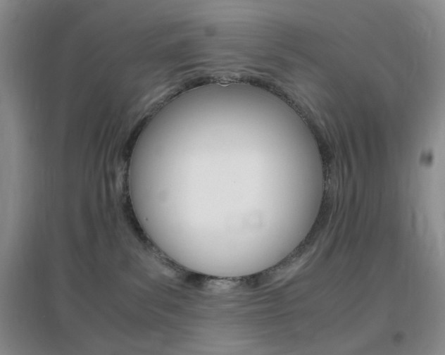 X0000096940139200802080907