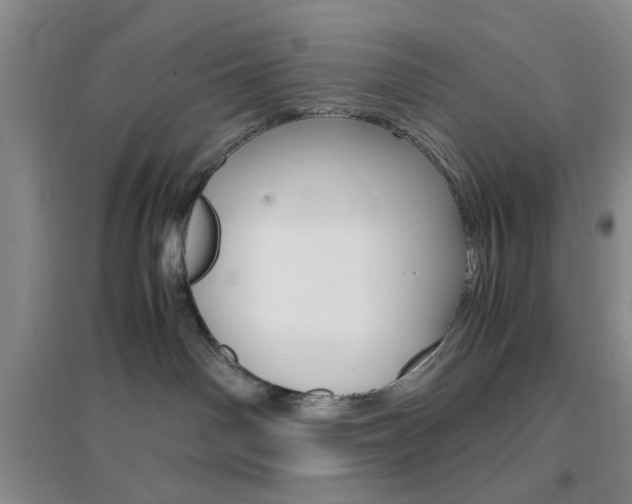 X0000096940142200802080907
