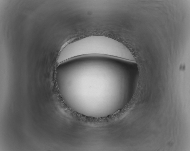 X0000096940144200802080907