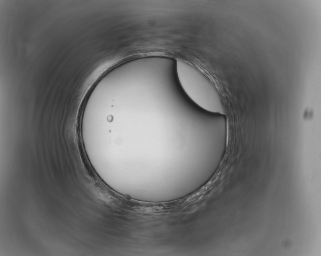 X0000096940147200802080906