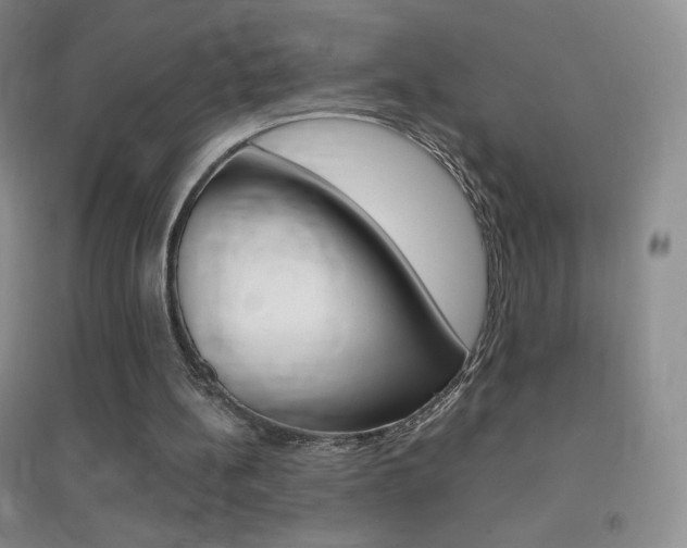X0000096940148200802080906
