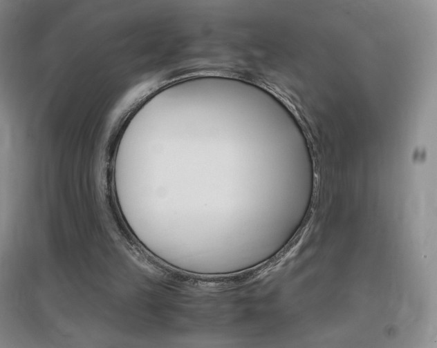 X0000096940149200802080906