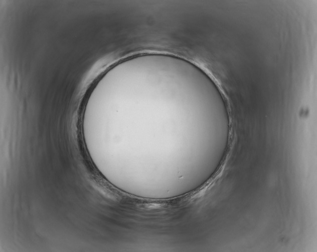 X0000096940151200802080906