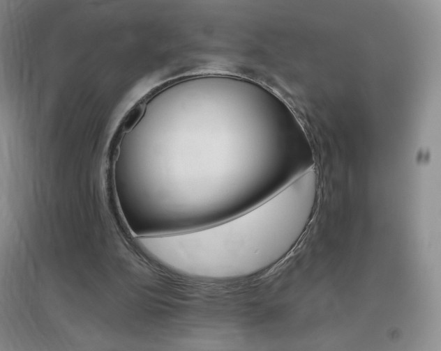 X0000096940152200802080906