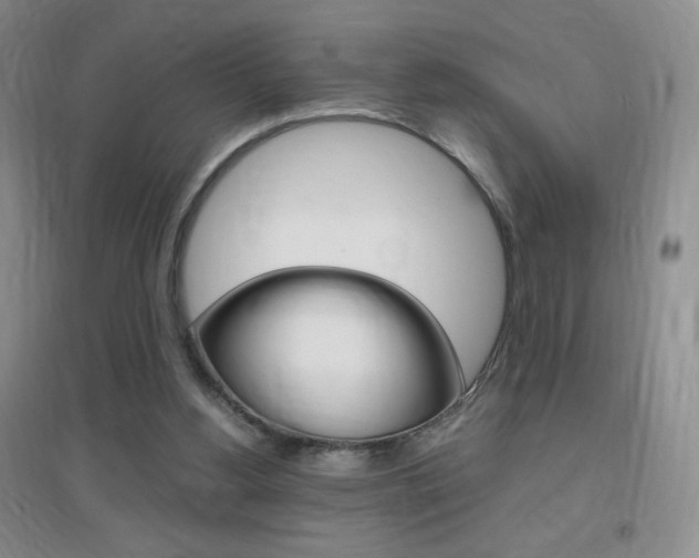X0000096940156200802080906