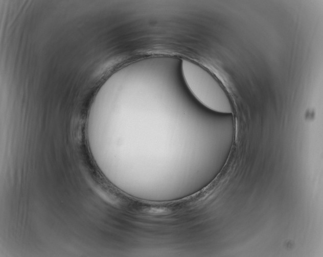 X0000096940157200802080906