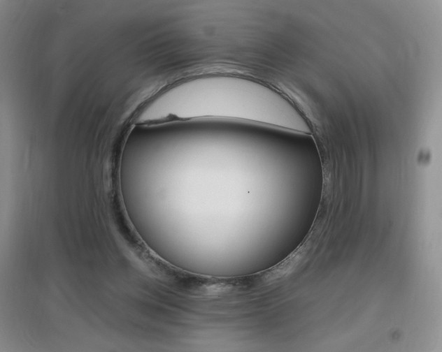 X0000096940158200802080906