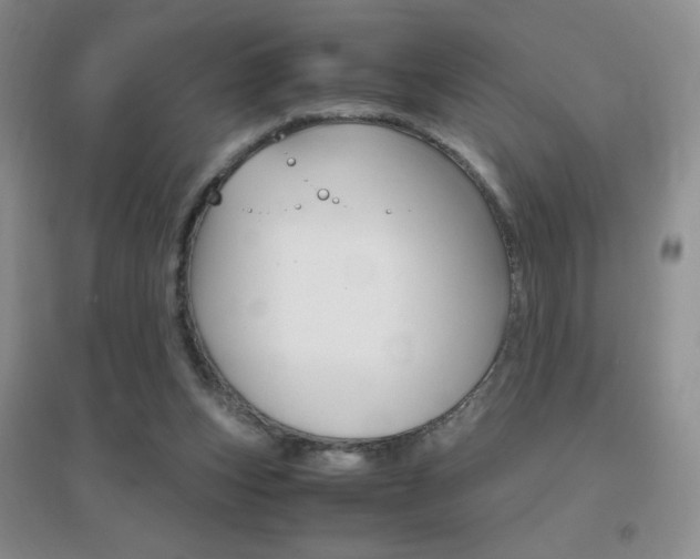 X0000096940159200802080906