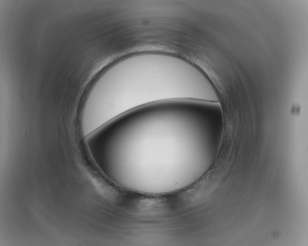 X0000096940160200802080906