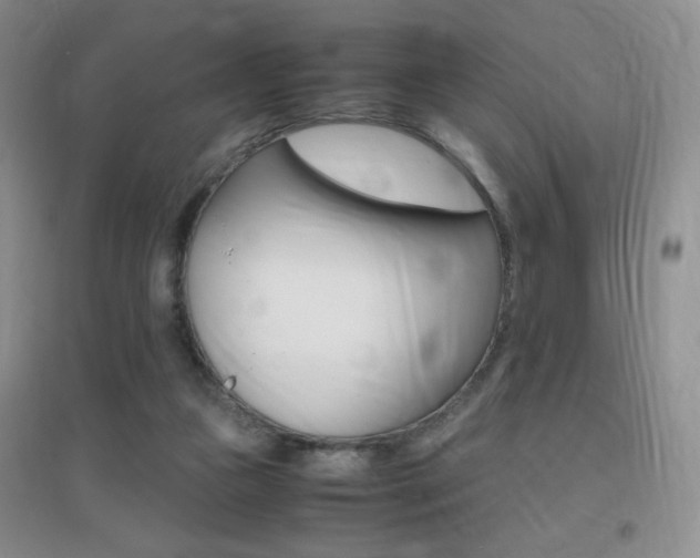 X0000096940161200802080906