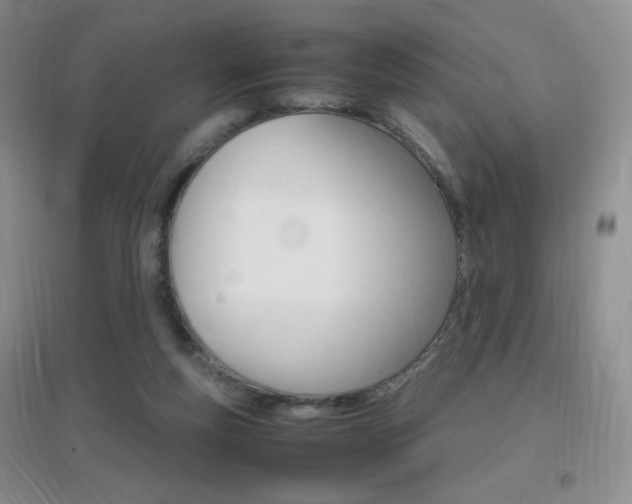X0000096940163200802080906