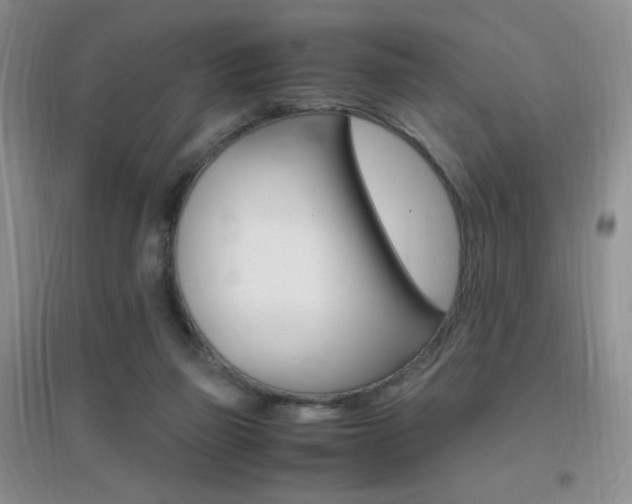 X0000096940165200802080906