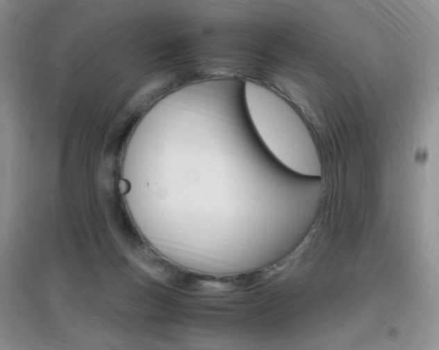 X0000096940167200802080906