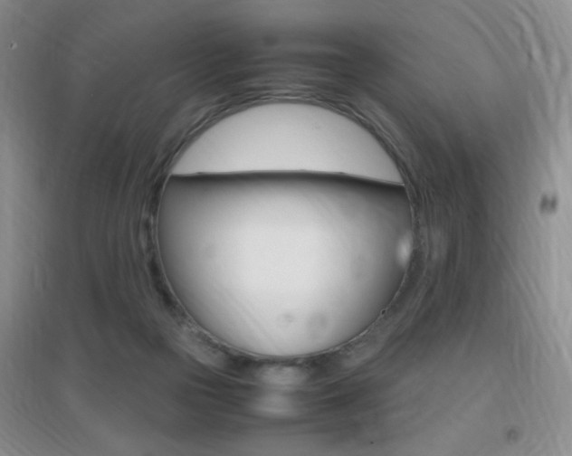X0000096940169200802080906