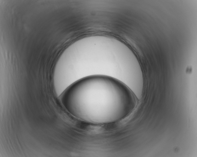 X0000096940170200802080906
