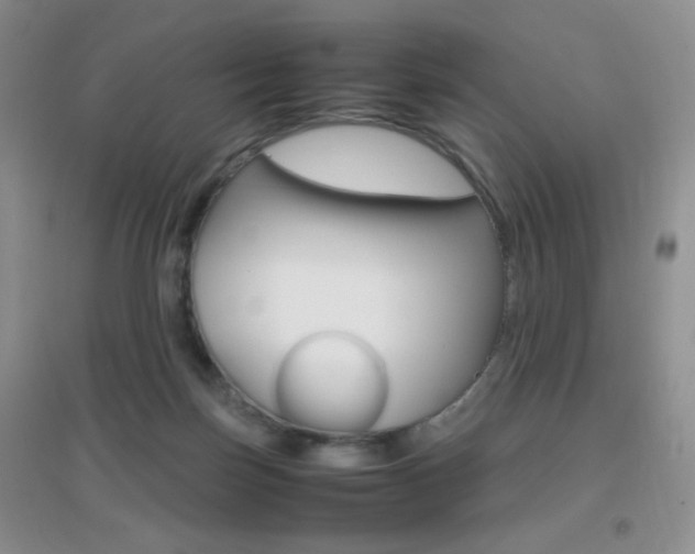 X0000096940171200802080906
