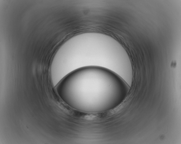 X0000096940172200802080906