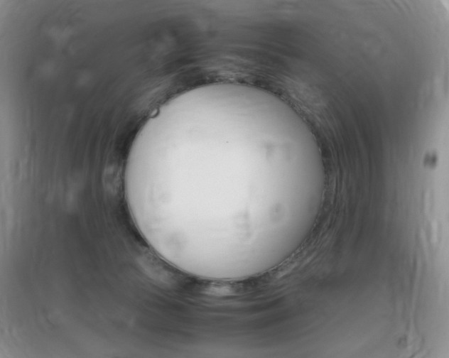 X0000096940177200802080906
