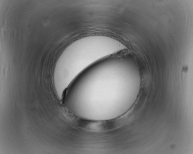 X0000096940178200802080906