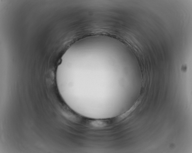 X0000096940183200802080907