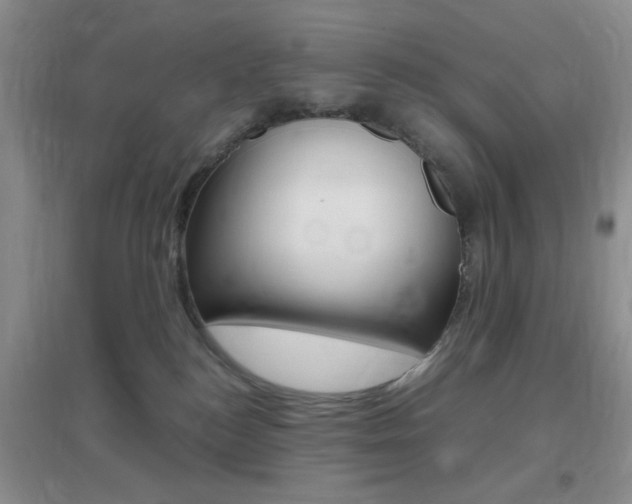 X0000096940184200802080907
