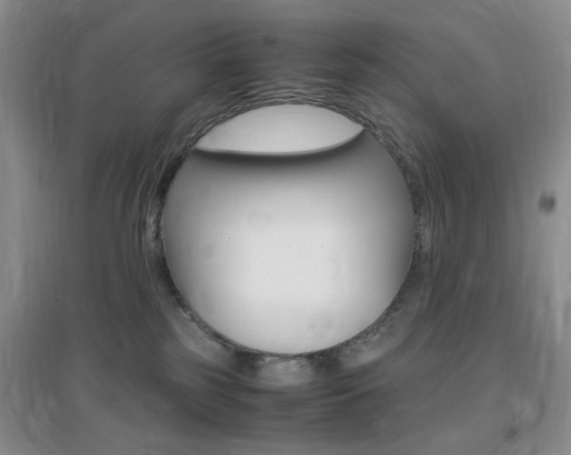 X0000096940185200802080907
