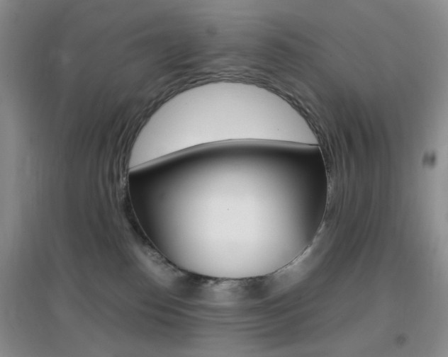 X0000096940186200802080907
