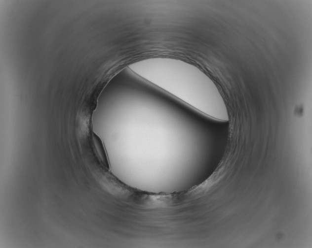 X0000096940188200802080907