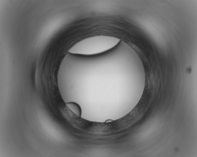 X0000096940189200802080907