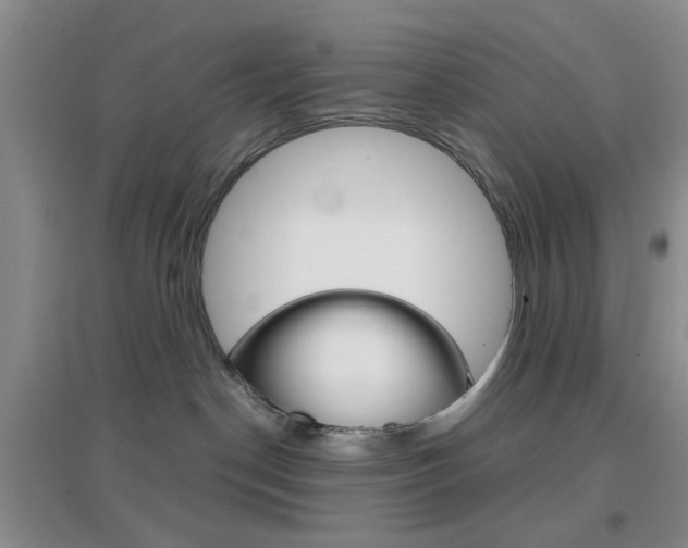 X0000096940190200802080907