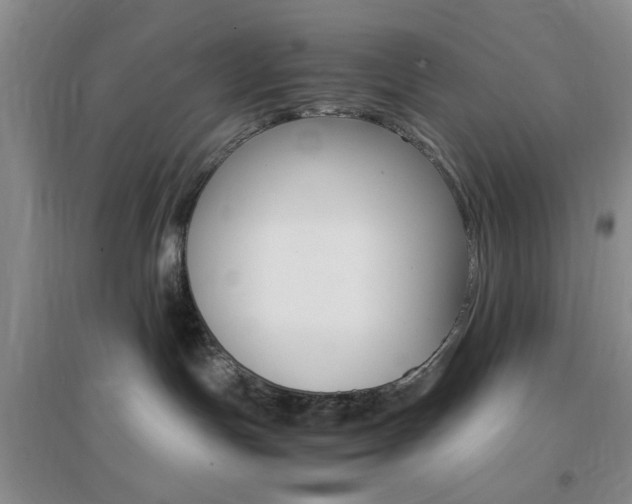 X0000096940191200802080907