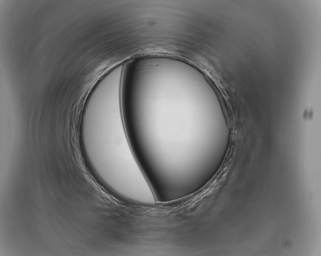 X0000096940193200802080906