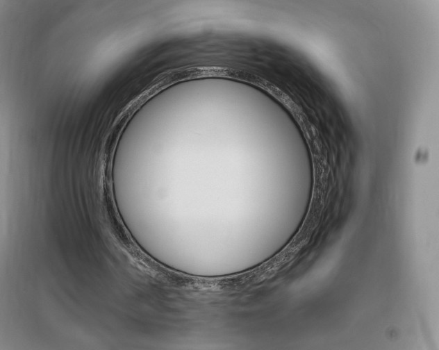 X0000096940194200802080906