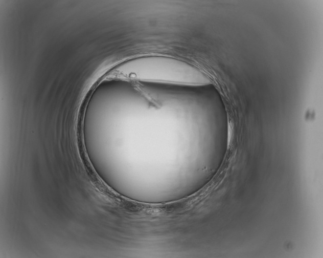 X0000096940195200802080906