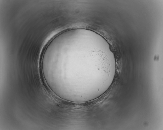 X0000096940196200802080906