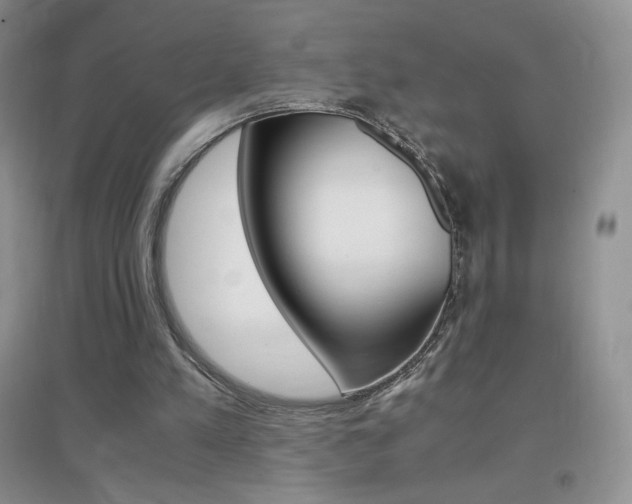 X0000096940197200802080906