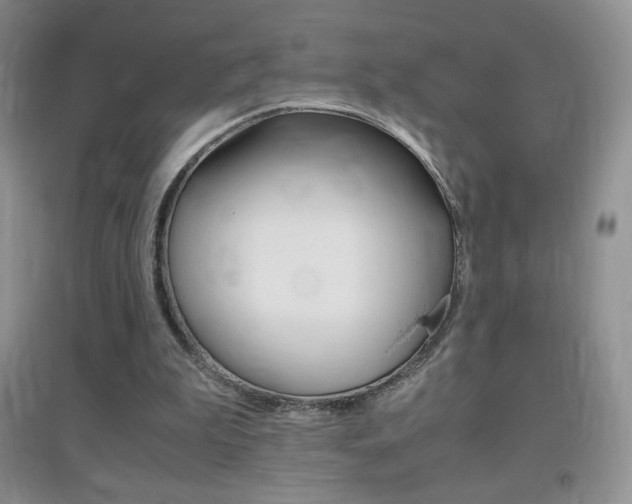 X0000096940199200802080906
