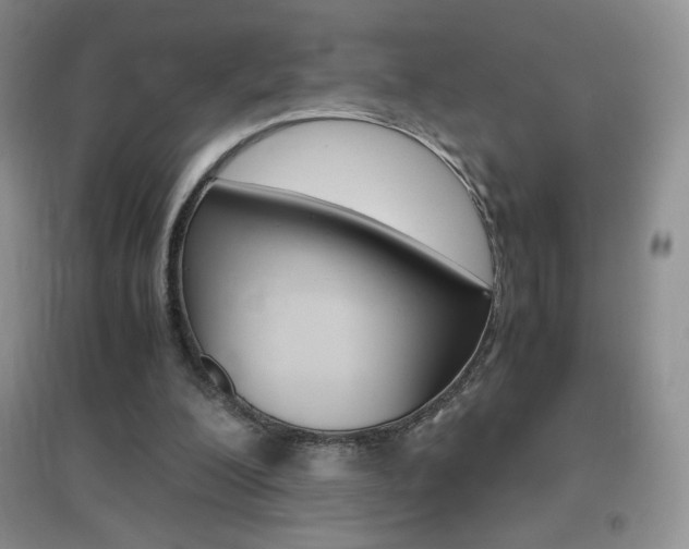 X0000096940200200802080906