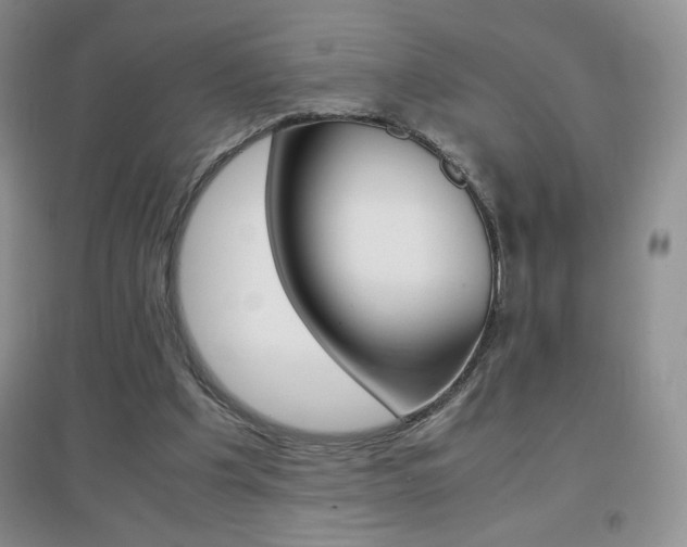 X0000096940201200802080906