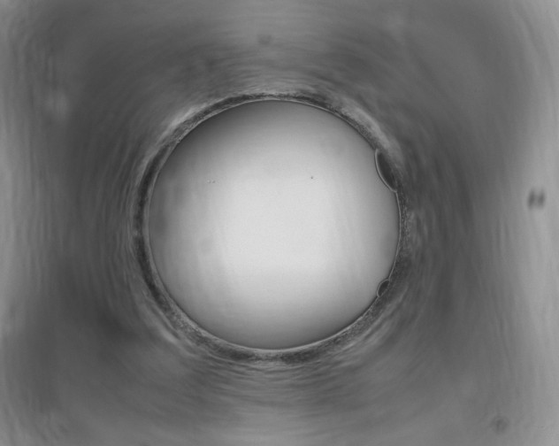 X0000096940203200802080906