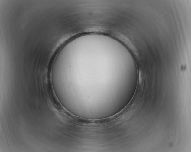 X0000096940204200802080906