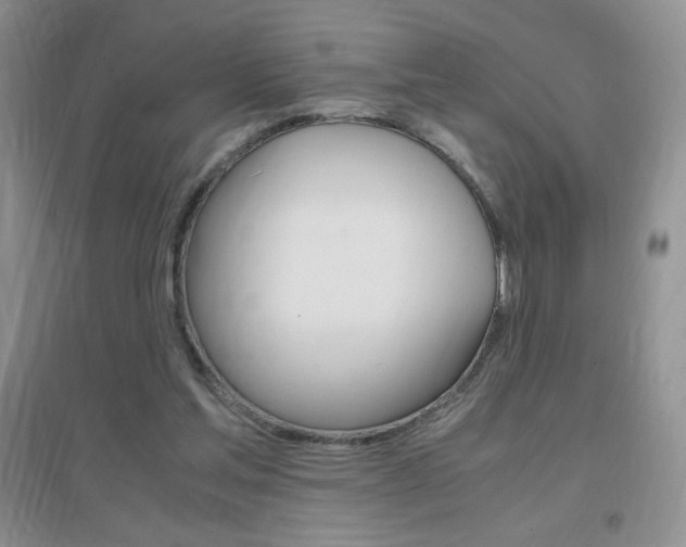 X0000096940205200802080906