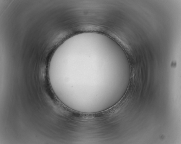 X0000096940206200802080906