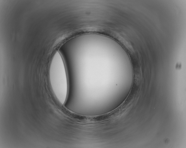 X0000096940207200802080906