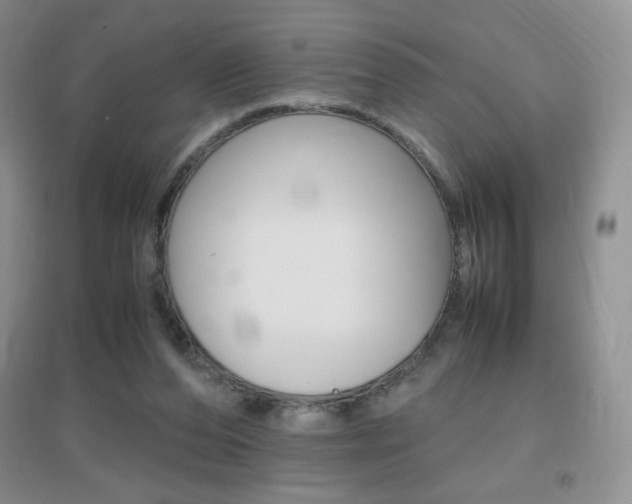 X0000096940208200802080906