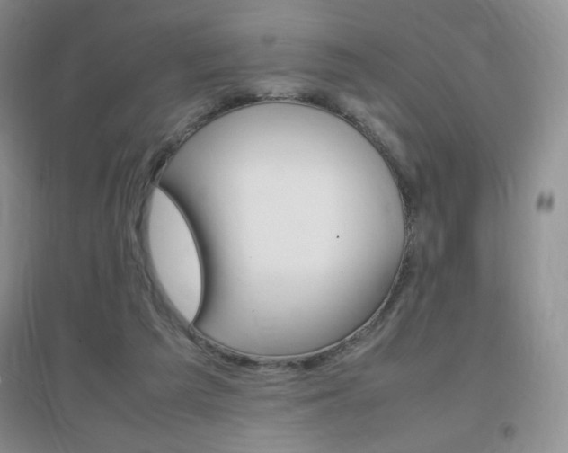 X0000096940209200802080906