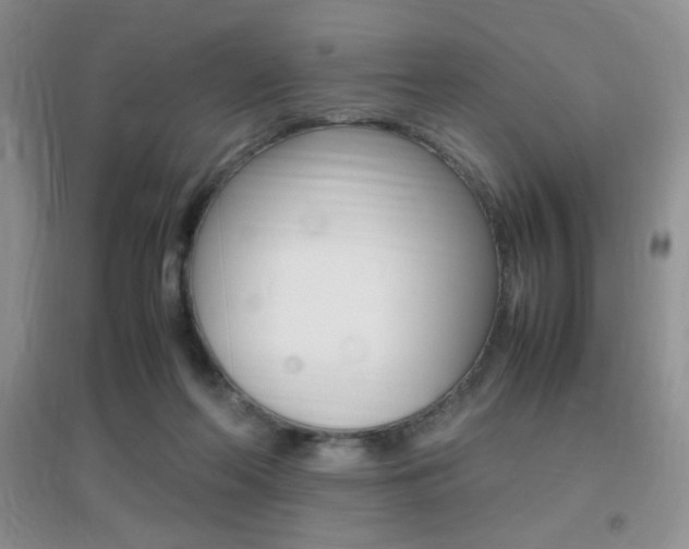X0000096940214200802080906