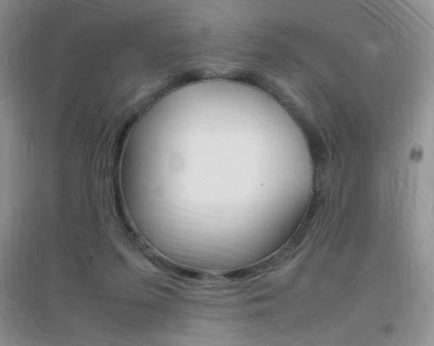 X0000096940215200802080906